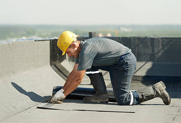 Best Specialized Insulation Services in Salineville, OH