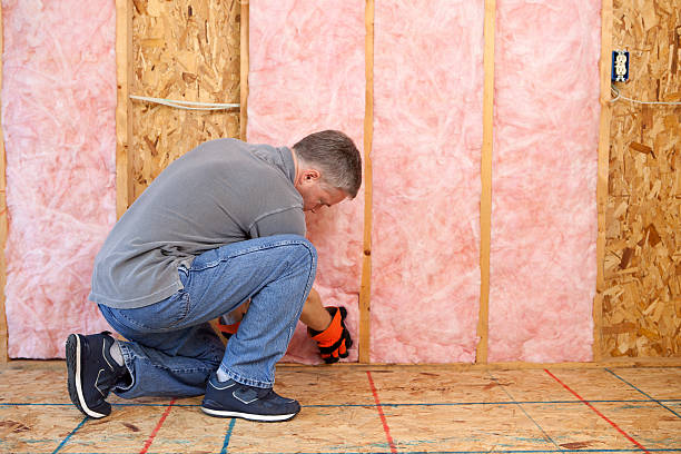 Best Eco-Friendly Insulation in Salineville, OH